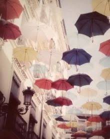 ☆ヘアーショー☆