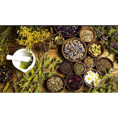 ☆オーガニックってなんだろう☆