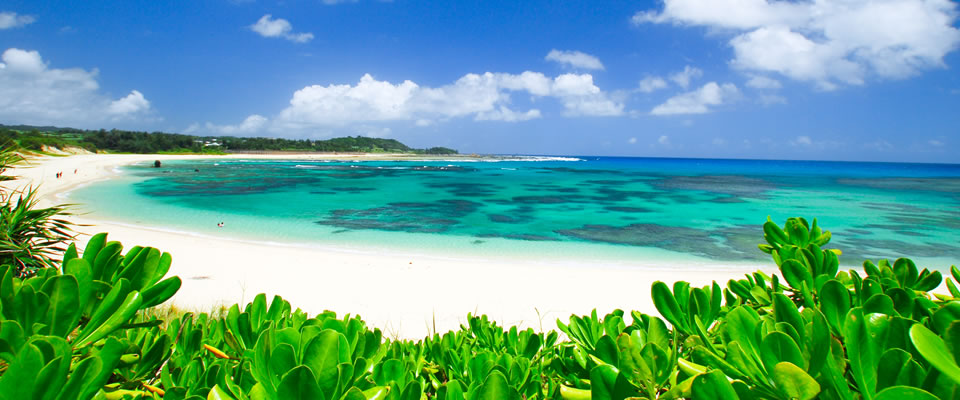 ☆鈴木の夏休みの知らせです☆